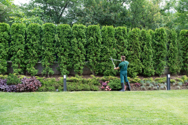 How Do Commercial Landscape Services Improve Business Property Appearance?